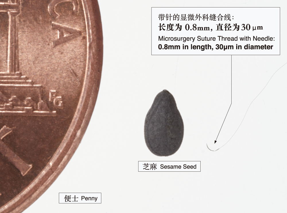 显微外科用缝线｜科琅淳-河野制作所集团官方网站